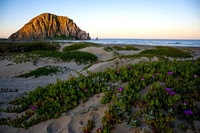 Morro Bay dunes sunrise