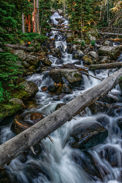 Zenfolio | Yellow Wood Guiding | Rocky Mountain National Park | Photo 44