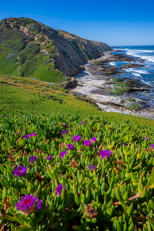 Dunes of Hazard Canyon Montana de Oro State Park